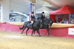 SBM_15013