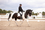 Class 37 - Novice 5 portfolio