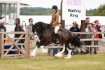 SBM_06163