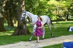 102-BANDITO_VAN_POLDERZICHT-Grace_Taylor-WEDTrotUp+DR portfolio