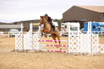 Class 2 - 0.85cm Amateur Championship Qualifier portfolio