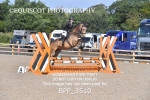 CLASS 2 Club/ Unaffiliated 80cms Open portfolio