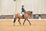 SBM_011015