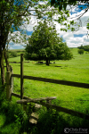 Country Stile