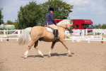 SBM_04021