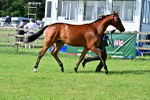 SBM_01124