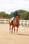 SBM_011815