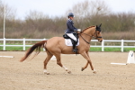 SBM_002450