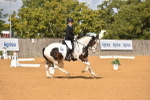SBM_05591