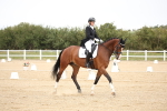 SBM_020074
