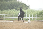 SBM_000823