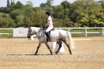 SBM_008212