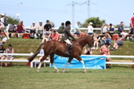 3E7A9039