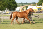SBM_10452
