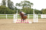 SBM_001639
