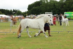 SBM_00487