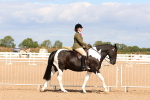SBM_13453