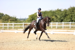 SBM_005554