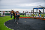 030726-Race 4-Midnight Strike-2411
