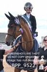BPP_9522