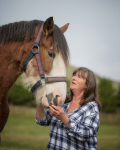 jane horses-29