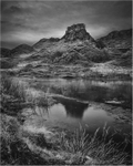 The Fairy Glen