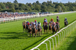 240824-Race 7-Sir Busker-1954
