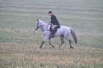 WJ7_3333