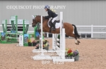 BPP_4428