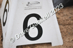 D8D_7456