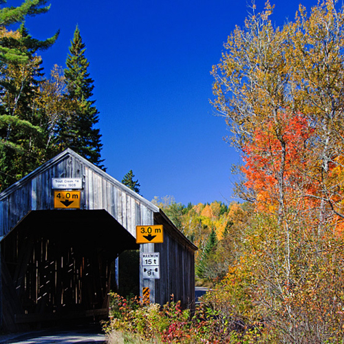 The Trout Creek #4 Bridge is seen amid spectacular autumn foliage in rural Kings County, New Brunswick, Canada