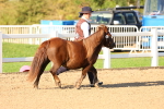 SBM_07991