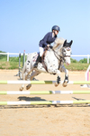 Cornish Showjumping Club 17.05.2025 portfolio