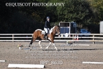 BPP_8630