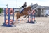 BPP_9626