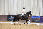 SBM_010173