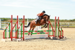 SBM_005566