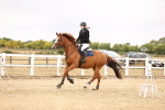 SBM_007461