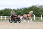 SBM_000752