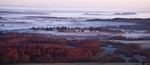 Morning mists over Arne Forest
