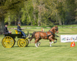 Attelage -638
