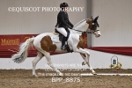 BPP_8875
