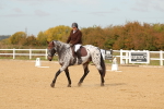 SBM_010414