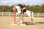 SBM_003481