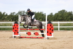SBM_007245
