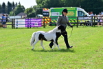 SBM_03415