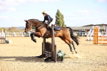 SBM_003235