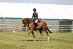 SBM_14934