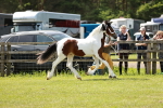 SBM_04129