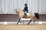 SBM_002443